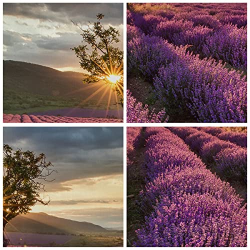 Quadro su Tela lavanda montagne campo Stampe da
