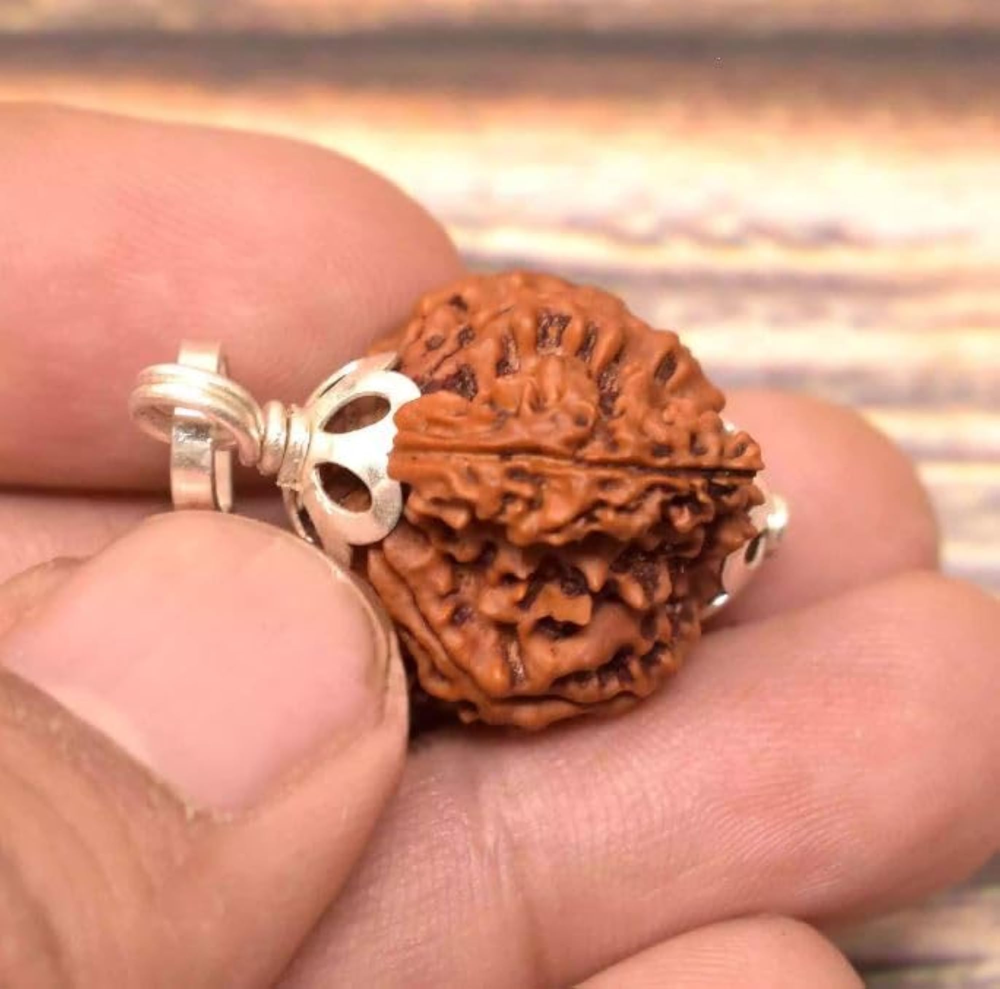 Sawar Rudraksha Pendant, Natural Savar Rudraksha