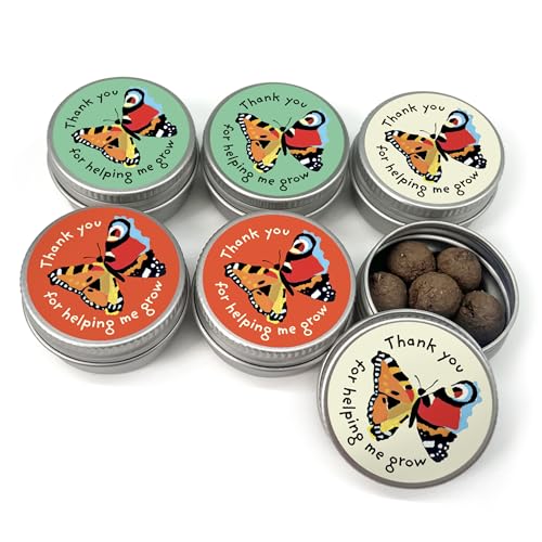 SEEDBALL Thank You Teacher Gifts Wildflower Seed Bombs (Set of 6 Mini Tins) Thank You for Helping Me Grow Gardening Gift | Eco Friendly British Wild Flower Seed Mix for Bees & Garden Wildlife