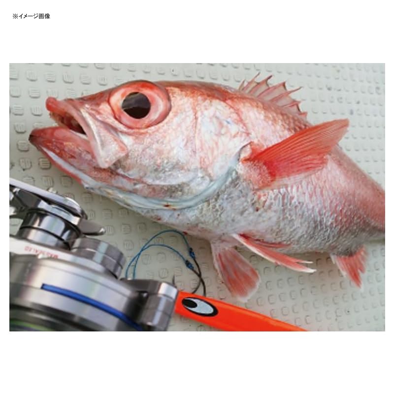 未使用　DAIWA ソルティガ　TG BAIT ROSY 330g ライムゼブラ 未使用 DAIWA ソルティガ TG BAIT ROSY 330g ライムゼブラ 【公式通販】