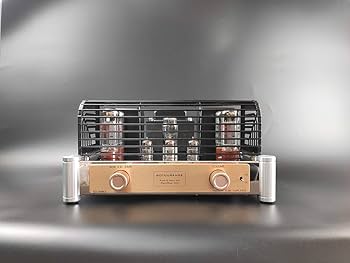 Amazon.co.jp: BoyuuRange MT-34 MKII Hi-Fi EL34 真空管 Amazon.co.jp: BoyuuRange MT-34 MKII Hi-Fi EL34 真空管