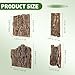 SHINEOFI 4Pcs Natural Cork Bark Reptile Hide, Terrarium Tree Bark Decor Gecko Hide Lizard Climbing Bask Platform Snake Hideout & Tortoise Tank Accessories for Reptiles Habitat Landscaping