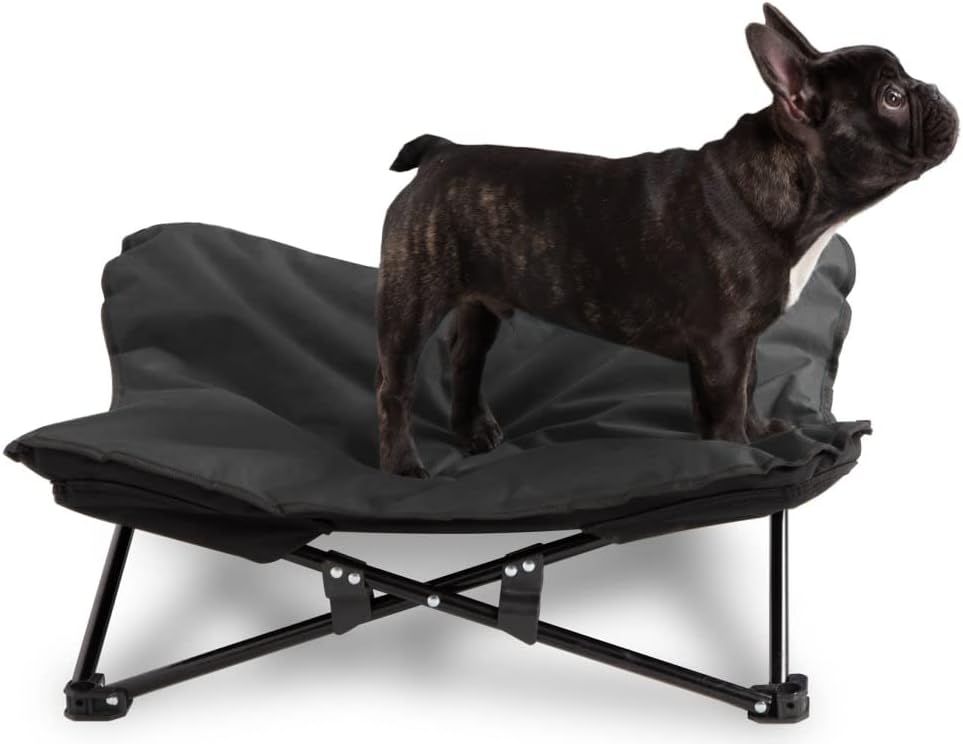 Paws & Pals Elevated Dog Bed, Indoor - Outdoor Pet Camping Raised Cot for Small or Medium Dogs & Cat with Folding Metal Frame and Off Ground Cooling Hammock