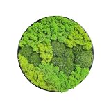 Motivilla Round Aluminum Moss Wall Art