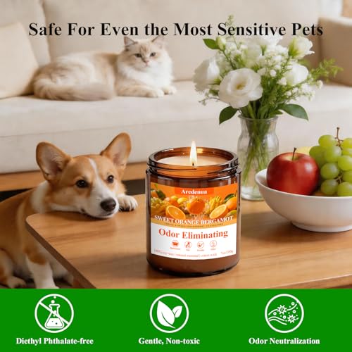 Image of 4 Pack Odor Eliminating Candles Set - Eliminates 95% of Pet, Smoke, Food, and Other Smells Quickly - Air Freshing Scent of Lavender /Orange /Mint /Cotton - 28oz Soy Candles for Home Scented, 200 Hours