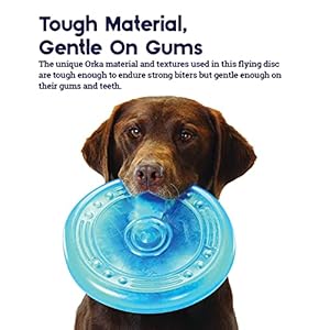 Petstages orka flyer royal blue flying disc dog fetch toy   cucciolini doodles