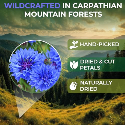 Image of 2 oz. Dried Blue Cornflower Flower Blossom (Centaurea Cyanus) - 56g Blue Corn Flower Herb Tea Petals Bulk Herbal Tea