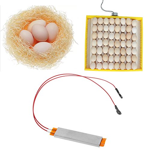 Landum Heating Incubator Heater Element Plate For Egg Incubator Accessories 110V 220V #TOP1