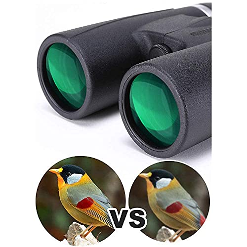 FAQUAN 10x42 Fernglas für Kinder Erwachsene, Tragbares HD BAK4 Prism FMC Objektiv Fernglas mit hoher Vergrößerung… – Bild 6