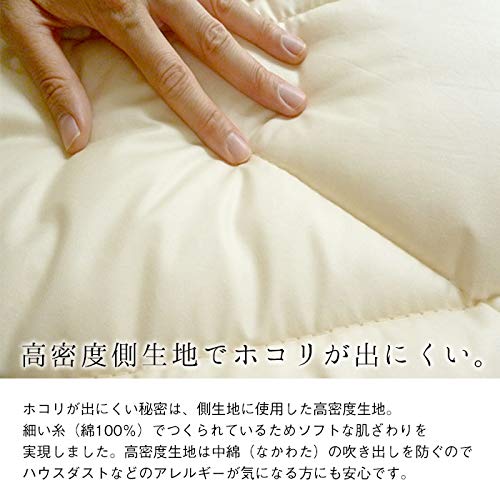 Amazon | 日本製 インビスタ社 ダクロン(R) 敷布団 シングル しっかり