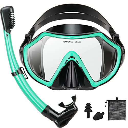 Piyazi Snorkeling Gear For Adults, Dry Adult Snorkel Set Hd Panoramic View Snorkel Mask Set, Anti-Leak And Anti-Fog Scuba Diving Package With Mesh Bag Ear Plug For Snorkeling Scuba Diving Travel #TOP21