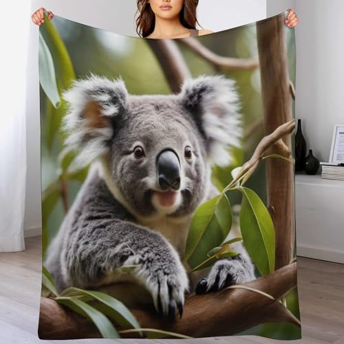 Manta de koala para sofá que transforma tu salón en un nido cálido 2