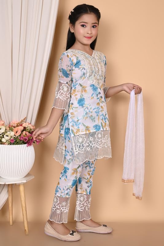 Image of Elegent Girl Dresses|| Ebroidery Dress For Girls || Cotton Blend,INDIANSUIT 2-12 YEARS