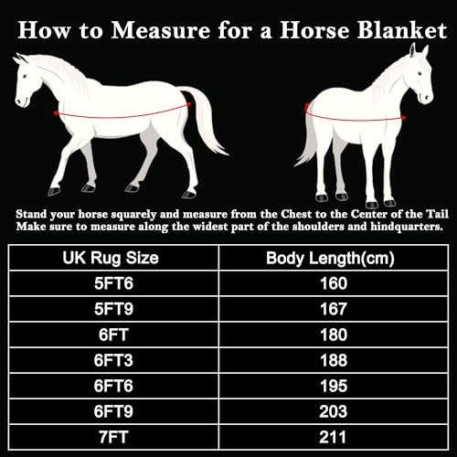 Couverture polaire cheval 2.1m Leberna tapis bleu clair