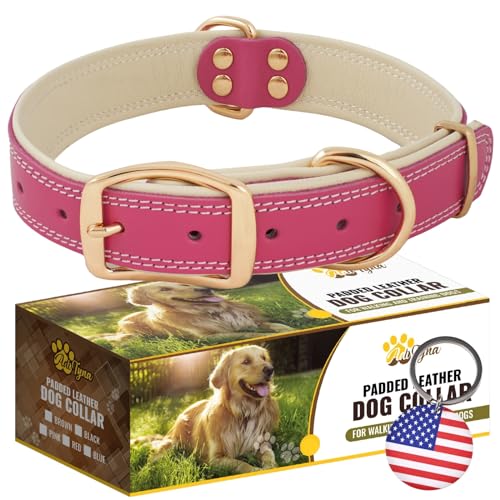 ADITYNA Heavy-Duty Pink Leather Dog Collar for Large Dogs -