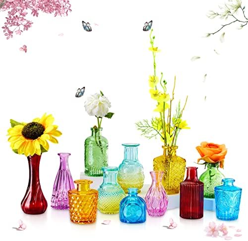 HIONXMGA 12PCS Colorful Bud Vases in Bluk,Small Clear Glass Bud Vase for Flowers,Mini Cute Vintage Vases for Rustic Wedding and Centerpieces Table Decorations