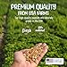 Sneaky Mango Premium Quality Raw Out of Shell Peanuts - 10 Pounds - Shelled Peanuts for Birds – Wildlife Quality - Food for Squirrels, Deer, Birds, and Other Wildlife Animals – Grown in The USA