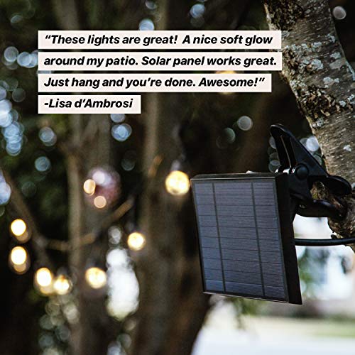 Brightech Ambience Pro - Waterproof Solar LED Outdoor String Lights – 1W Retro Edison Globe Bulbs - 27 Ft Bistro Lights Create Cafe Ambience in Your Yard, Pergola - Soft White