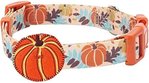 Blueberry Pet Thanksgiving Fall Harvest Festival Pumpkin Designer Adjustable Dog Collar with Decoration, Medium, Neck 14.5"-20"