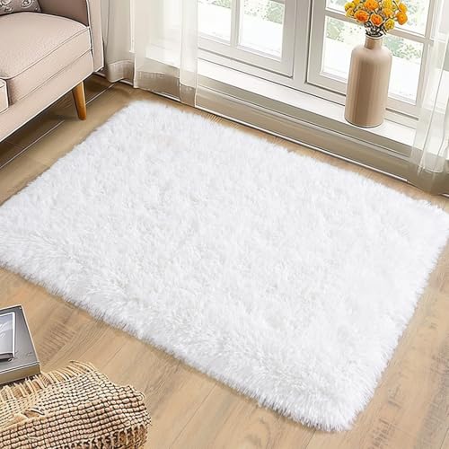 Shaggy Rugs for Bedroom Living Room Dorm Kids Room Decor, Soft Modern Indoor Fluffy Shag Area Rug, Non-Slip Fuzzy Floor Carpet 2x3 Feet, Cute Small Rectangle Plush Rug, White