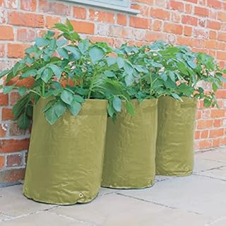 Tierra Garden 50-1040 Haxnicks Potato Patio Planter and Grow Bag, 3-Pack