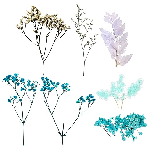 Set de flores secas naturales para manualidades