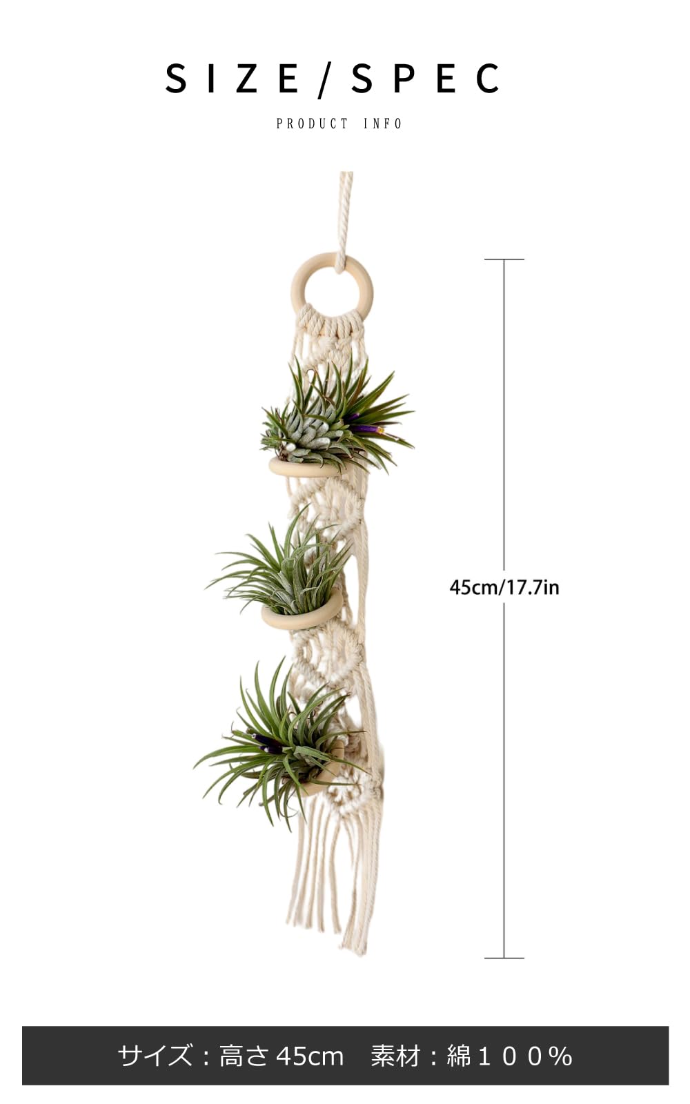 Amazon.co.jp: [SILURE] エアープランツ プランタースタンド