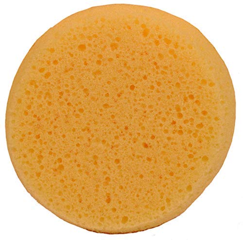 image for Creative Hobbies Pack of 12 Synthetic Sponges - 2-1/2 Inch Round Craft