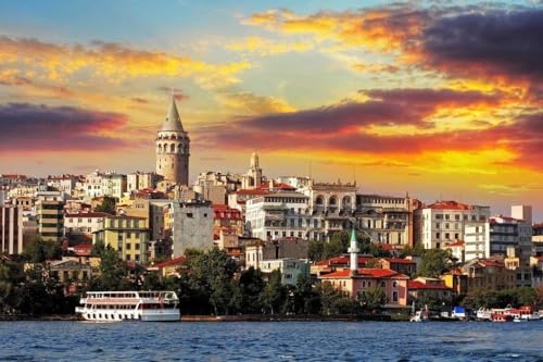 ؐ1000 pieces ̃oXEbhWO\[pY 邢F̗LȊG  gR CX^u[ Č