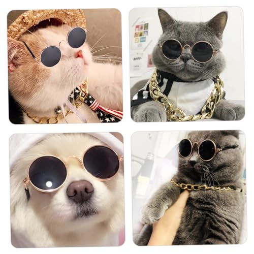 Set de Gafas y Collar para Mascotas POPETPOP miniatura 7