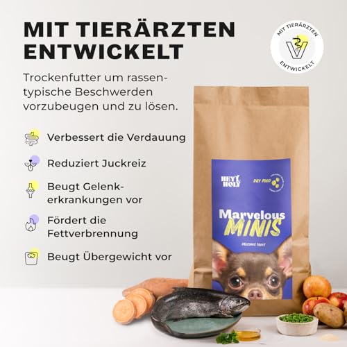 HEY HOLY Premium Trockenfutter für Minis 100% getreidefrei | 7kg Hundefutter für ausgewachsene Minis mit Forelle | Hochverträglich aus natürlichen Zutaten