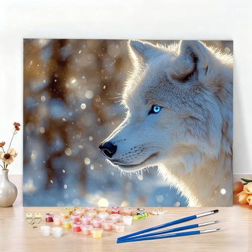 iF G LbghG hDIYG T G LoX hG, DIYG fW^GS҂ƑlLoXɔԍŃyCg邱ƂړI, ̕ǂ̉Ƃ̑, Ղ j  ւ̃Mtg, t[X 70x100cm W