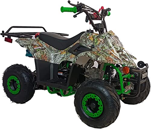 Taotao 110cc Four Wheelers 6