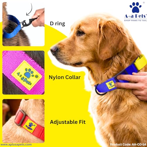 Image of A+a Pets Martingale Dog Collar | No Pull Design, No Neck Strain, No Choke Design | for Large & Medium Dogs | Rust Free, Waterproof Nylon Training Collar (Purple & Yellow), 30 x 2.5 cm