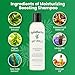 Hydratherma Naturals Moisturizing Boosting Shampoo, 8.0 fl. oz.