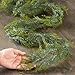 Factory Direct Craft Weather Resistant Snowy Cedar Garland - Winter Greenery ICY Juniper Pine Christmas Garland - Holiday Lodge Decoration (Size - 6 feet Long)