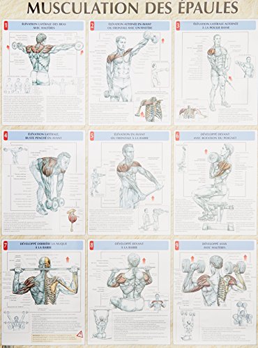 Télécharger Musculation des épaules : Poster Livre eBook France