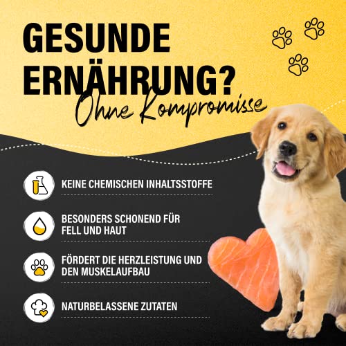 Canobel Premium Lachsöl für Hunde und Katzen