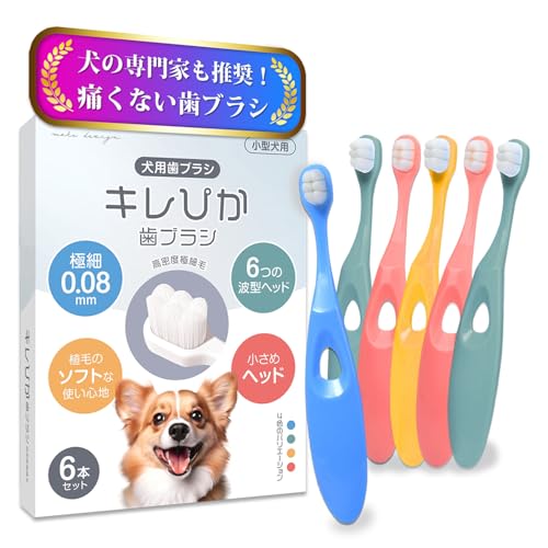犬 歯ブラシ はぶらし 小型犬 『キレぴか歯ブラシ』6本セット【獣医師推奨 x 極細毛10000本植毛】0.08mm超極細毛 柔らかい 歯茎に優しい 歯垢除去 食品グレード抗菌 5kg以上対応のサムネイル