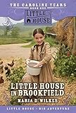 Little House in Brookfield (The Caroline Years, Bk 1)