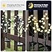 IUEECEN Solar Garden Lights Garden Decor, Solar Flowers Lights Outdoor Decorative,2Pack 40LED Solar Lights Outdoor Garden Waterproof for Outside Yard,Lawn,Patio,Pathway Decorations Gardening Gifts
