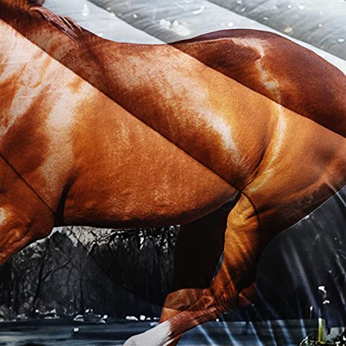 Ailonen Horses Comforter Set Full Size, Evening Running Horses 3D Printed Bedding Set Decor,Animal Theme Soft And Lightweight Quilt Set For Teens Boys Girls 3Pcs (1 Comforter+ 2 Pillowcases) #TOP2