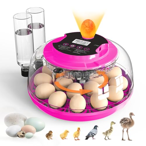 Incubator for Hatching Eggs, 18 Eggs Capacity, Incubators with Egg Candler, Automatic Egg Turner, Temperature & Humidity Control, Full Viewing for Chicken, Duck, Quail, Goose, Parrot, Pigeon