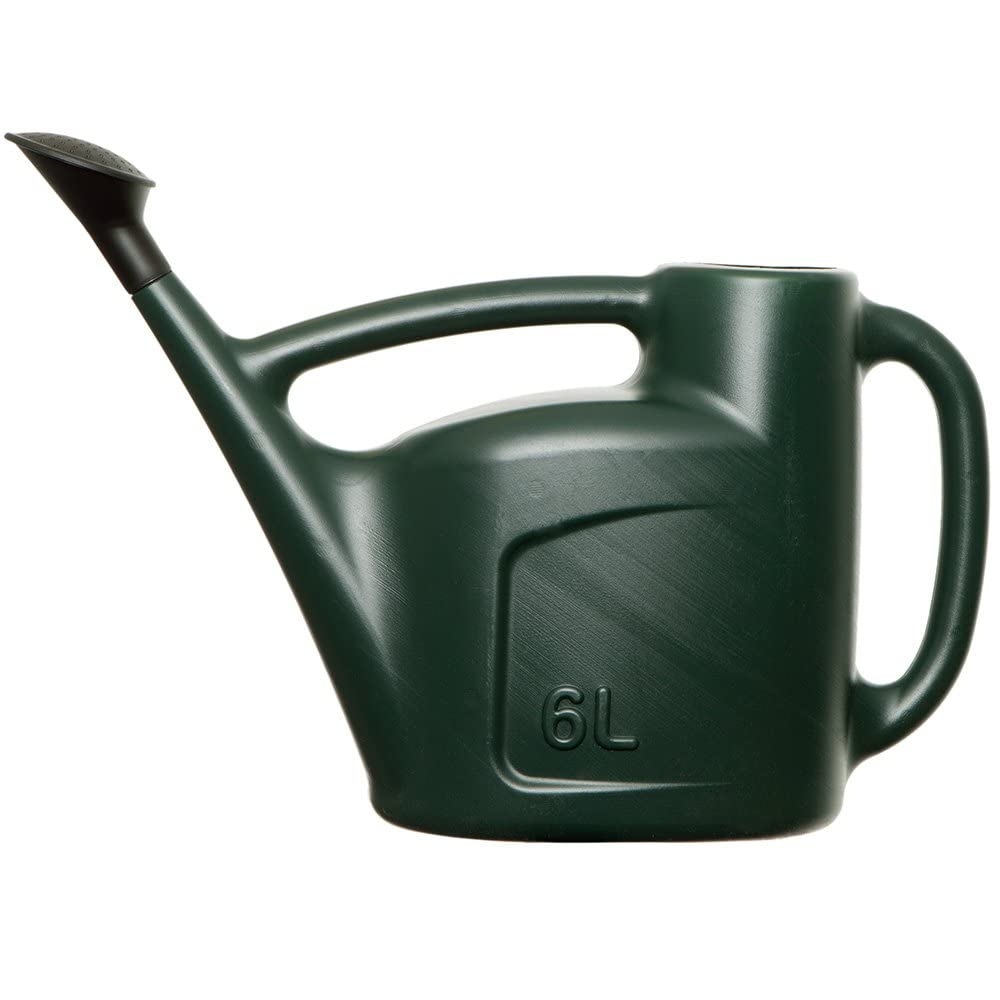 Homey Mart Green 6L Watering Can For Garden Plants Indoor & Outdoor With Detachable Sprinkler Rose Lightweight Water Sprinkler