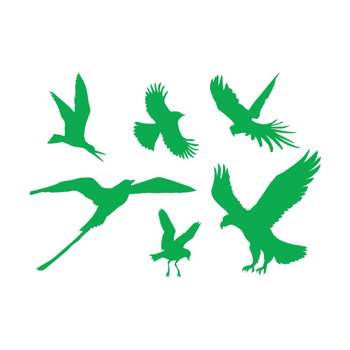 Birds Collection Eagle Parrot Wall Decals 81x115.2cm Multi Color Selection Extra Large Green