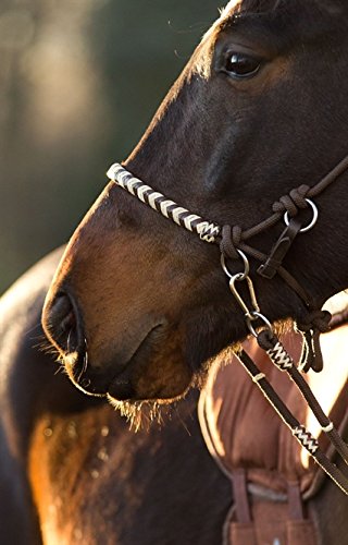 Barefoot Seneca Knoten-Kopfstück 3-in-1 – Knotenhalfter & Reithalfter für Bodenarbeit, gebissloses Reiten oder mit Gebiss – mit Rohhaut & Horse-Hair-Tassel – Größe 2 Kaltblut