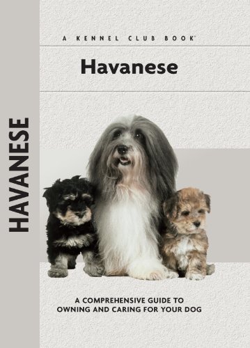 havanese puppy shopping list