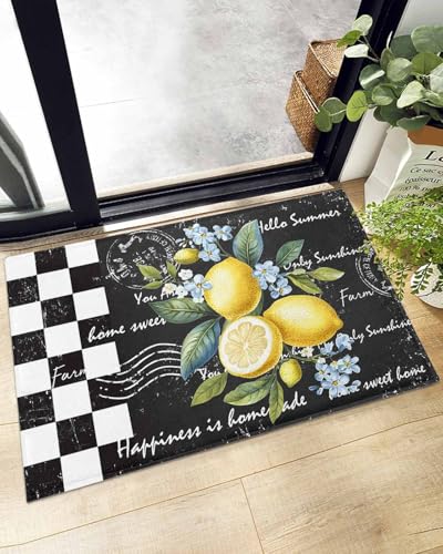 Indoor Doormat Summer Tropical Lemon,Shaggy Floor Mat with Non-Skid Backing Retro Black and White Buffalo Plaid,Machine Washable Plush Area Rug Carpets for Kitchen Nursery Bedroom