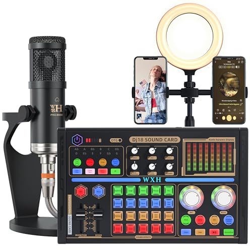 ALSO GO Professional Podcast Equipment Bundle, DJ18 Sound Card with BM-800 Condenser Microphone and Voice Changer, Multifunctional Audio Interface, Suitable for Podcasting Bluetooth, PC, Smart Phone
