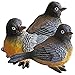 BANBERRY DESIGNS Robin Bird Figurines - Birds Decoration - Set of 3 Styles - Hand Painted Fine Details - Home Decorations - Durable Polystone - 3